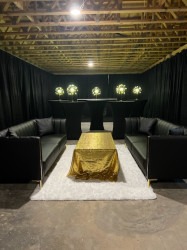 IMG 9993 1768161901 Sofa with Gold Legs